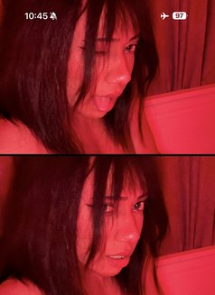 Reem - Acompañantes transexual in Al Manama Photo 12 of 12