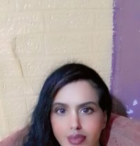 Reem - Transsexual escort in Amman