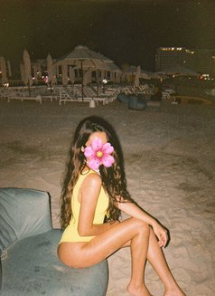 Reem outcall only - escort in Dubai Photo 11 of 12