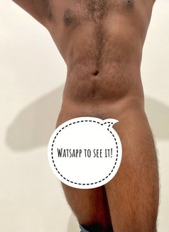 Rehan Grande🖤 - Male escort in Colombo Photo 1 of 4