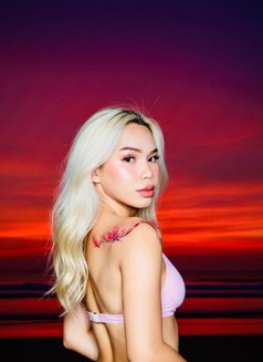 Reign - Transsexual escort in Manila Photo 3 of 11