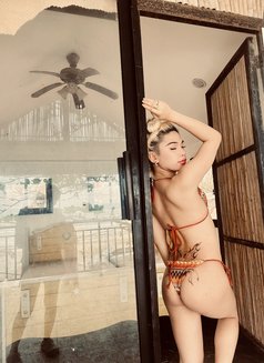 Reign - Transsexual escort in Manila Photo 9 of 11