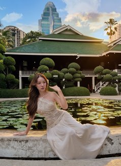 Reindeer - Transsexual escort in Bangkok Photo 8 of 12