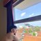 Remusya - Acompañantes masculino in Jakarta