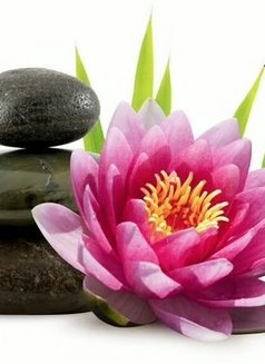 Ren - puta in Adelaide Photo 3 of 3