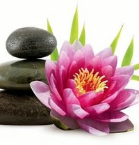 Ren - escort in Adelaide