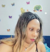 Rena Baby new arrival from Algeria - escort in New Delhi