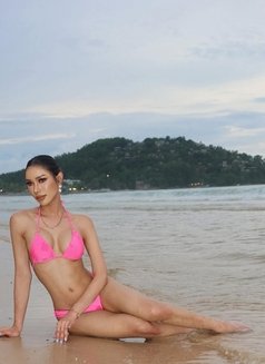 Renee both from Phuket - Transsexual escort in Riyadh Photo 22 of 22