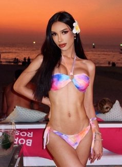 Renee from Phuket 🇹🇭 - Transsexual escort in Riyadh Photo 22 of 24