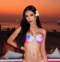 Renee from Phuket 🇹🇭 - Transsexual escort in Riyadh Photo 22 of 27