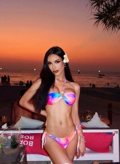 Renee new in Riyadh 🇹🇭 from Phuket - Transsexual escort in Riyadh Photo 1 of 22