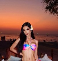 Renee new in Riyadh 🇹🇭 from Phuket - Transsexual escort in Riyadh