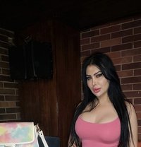 ألخانُم. Reta🫦TOP🫦blowjob🫦.only - Transsexual escort in Beirut