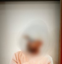 Rex Male Escorts Udaipur - Male escort in Udaipur