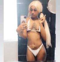 Rexxy - Transsexual escort in Abu Dhabi