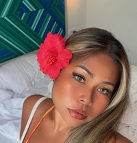 Reya Your New Horny Girl - escort in Bangkok