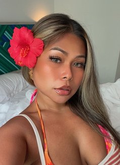 Reya Your New Horny Girl - escort in Bangkok Photo 3 of 13