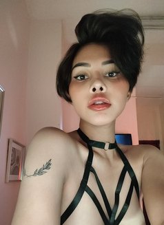 Rhain@21 - Transsexual escort in Dubai Photo 1 of 6