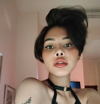 Rhain@21 - Acompañantes transexual in Dubai