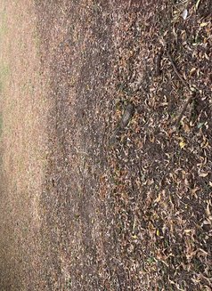 Rhea black - escort in Dubai Photo 2 of 2