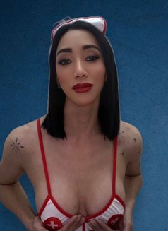 Rhodora X Hard Top/both/mistress - Transsexual escort in Dubai Photo 7 of 8