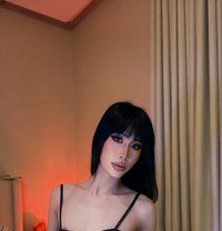 Richie both big dick 69 fuck hard - Transsexual escort in Jeddah