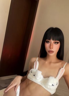 Richie both big dick 69 fuck hard - Transsexual escort in Jeddah Photo 14 of 14