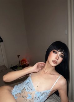 Richie both big dick 69 fuck hard - Transsexual escort in Jeddah Photo 15 of 16
