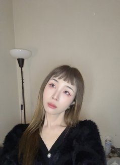 Richy Kim - escort in Tokyo Photo 21 of 26