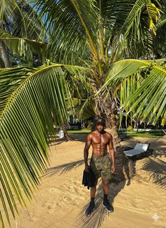 Rico - Male escort in Pattaya Photo 10 of 10