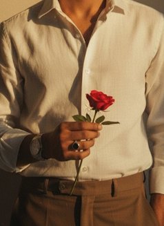 Ride by Horse - Male escort in Hyderabad Photo 1 of 1