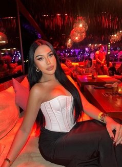 Rihanna big C 🇹🇭 - Transsexual escort in Doha Photo 8 of 8