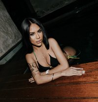 Lacey - Transsexual escort in Cebu City