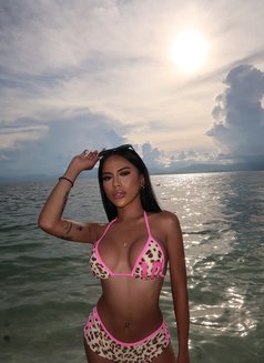 Riley Monroe - Acompañantes transexual in Cebu City Photo 17 of 19