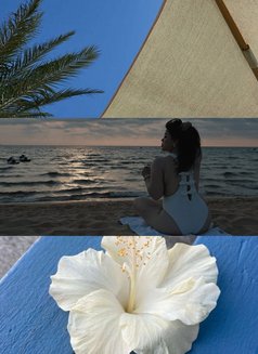 Rim-cim-golden shower reem island - escort in Abu Dhabi Photo 18 of 19