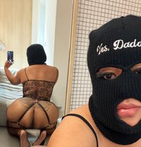 Coming February 5th. - escort in Okinawa Island