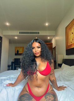 RIYA 🇹🇭 - escort in Phuket Photo 13 of 13