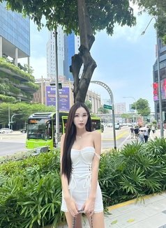 Rinnnn just arrived vvvvvip babe girl - escort in Bangkok Photo 6 of 9