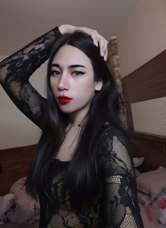 Rinrada Al Ghubrah Muscat🇴🇲🇹🇭 - Acompañantes transexual in Muscat Photo 15 of 16