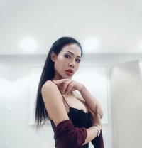 Rinxxxx - Acompañantes transexual in Bangkok