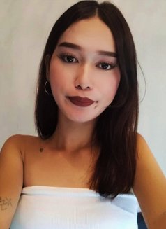 Riri - Transsexual escort in Cebu City Photo 3 of 7