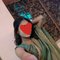 Rishi - escort in Noida