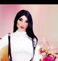 Rita Al Hassan - Transsexual escort in Beirut