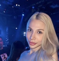 Rita Anna - Transsexual escort in Ko Samui