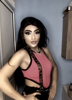 Rita Hasan - Agencia de acompañantes transexuales in Beirut Photo 1 of 12