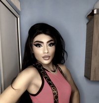 Rita Hasan - Agencia de acompañantes transexuales in Beirut
