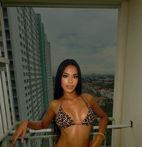 Rita - Transsexual escort in Bangkok