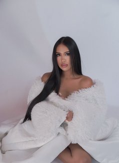 Rita - Acompañantes transexual in Phuket Photo 19 of 19