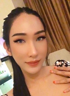 Rita Thai Top Bottom - Transsexual escort in Kuala Lumpur Photo 4 of 8