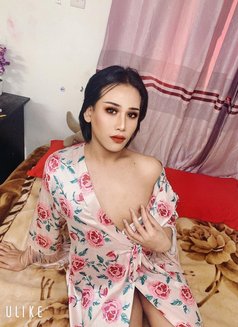 Ritar. Lady Boy - Transsexual escort in Khobar Photo 2 of 5